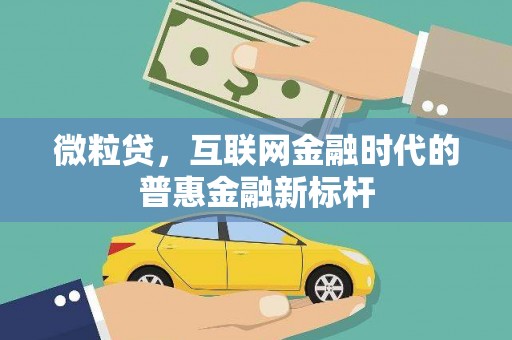 大涌微粒贷，互联网金融时代的普惠金融新标杆