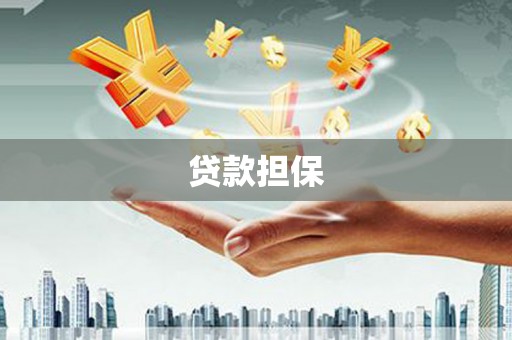 大涌贷款担保