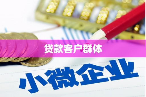 大涌贷款客户群体