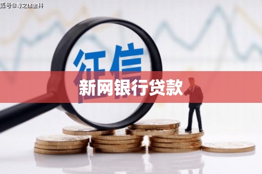 大涌新网银行贷款