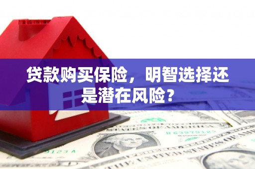 大涌贷款购买保险，明智选择还是潜在风险？