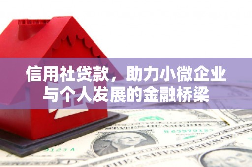 大涌信用社贷款，助力小微企业与个人发展的金融桥梁