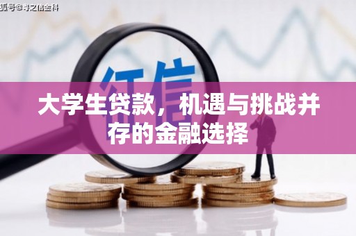 大涌大学生贷款，机遇与挑战并存的金融选择