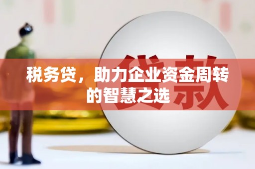 大涌税务贷，助力企业资金周转的智慧之选
