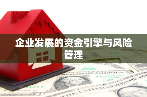 大涌企业发展的资金引擎与风险管理