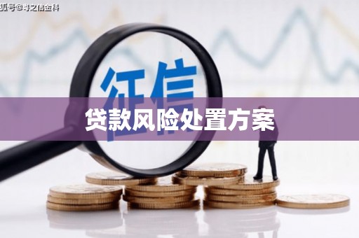 大涌贷款风险处置方案