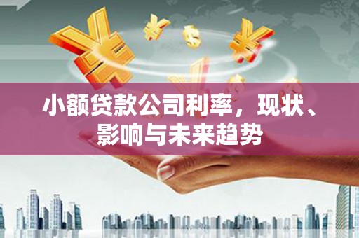 大涌小额贷款公司利率，现状、影响与未来趋势