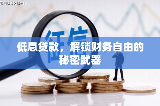 大涌低息贷款，解锁财务自由的秘密武器