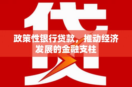 大涌政策性银行贷款，推动经济发展的金融支柱
