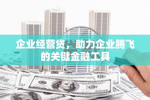 大涌企业经营贷，助力企业腾飞的关键金融工具
