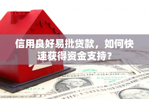 大涌信用良好易批贷款，如何快速获得资金支持？