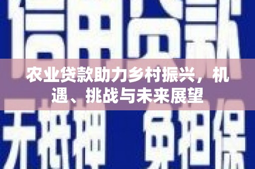 大涌农业贷款助力乡村振兴，机遇、挑战与未来展望