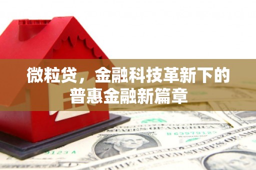大涌微粒贷，金融科技革新下的普惠金融新篇章