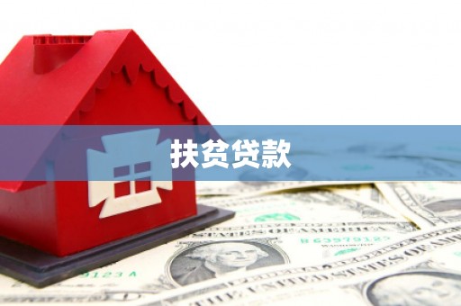 大涌扶贫贷款