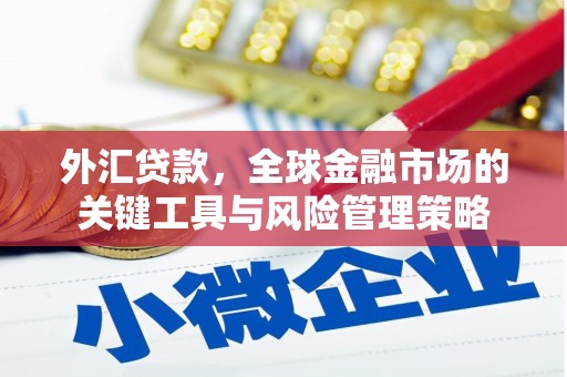 大涌外汇贷款，全球金融市场的关键工具与风险管理策略