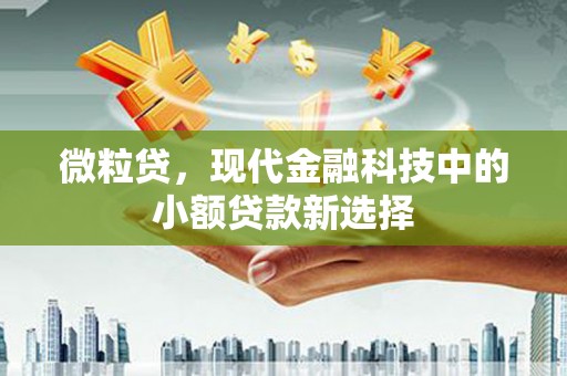 大涌微粒贷，现代金融科技中的小额贷款新选择