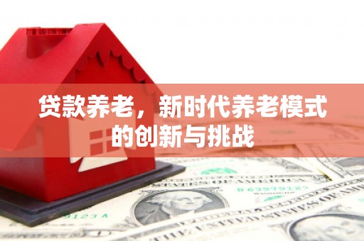 大涌贷款养老，新时代养老模式的创新与挑战