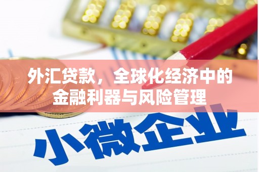 大涌外汇贷款，全球化经济中的金融利器与风险管理