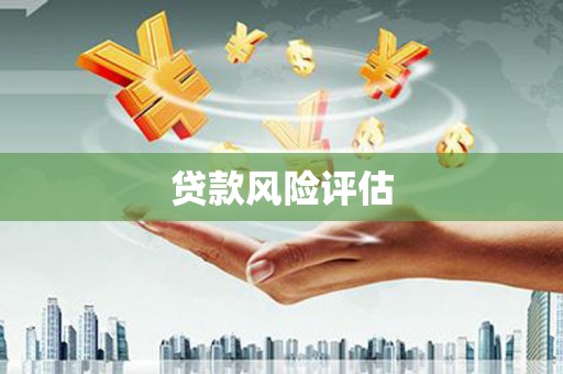 大涌贷款风险评估