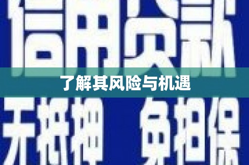 大涌了解其风险与机遇