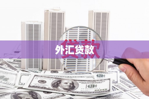 大涌外汇贷款