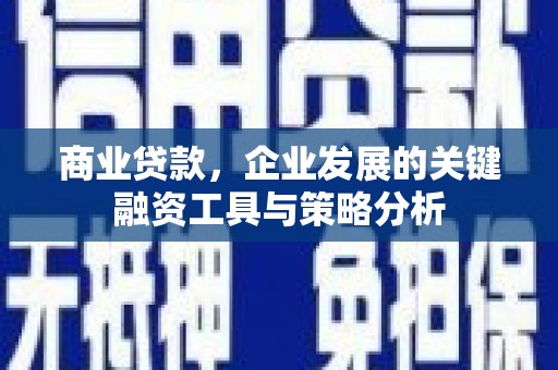 大涌商业贷款，企业发展的关键融资工具与策略分析