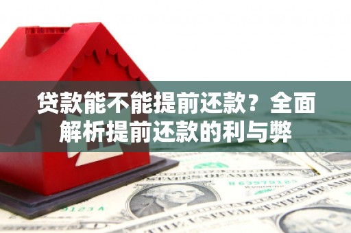 大涌贷款能不能提前还款？全面解析提前还款的利与弊