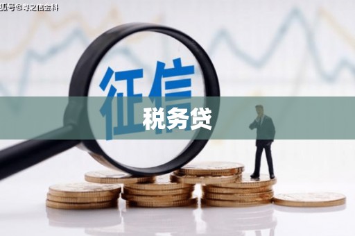 大涌税务贷