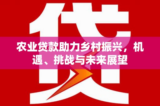 大涌农业贷款助力乡村振兴，机遇、挑战与未来展望