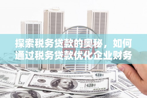 大涌探索税务贷款的奥秘，如何通过税务贷款优化企业财务
