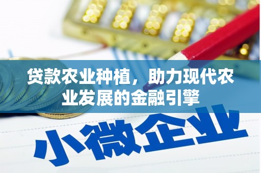 大涌贷款农业种植，助力现代农业发展的金融引擎
