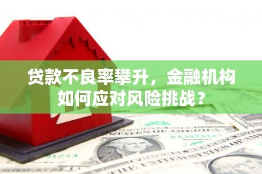 大涌贷款不良率攀升，金融机构如何应对风险挑战？