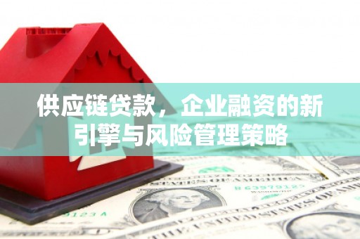 大涌供应链贷款，企业融资的新引擎与风险管理策略