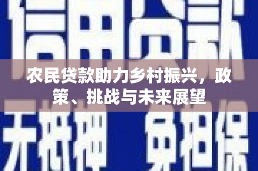 大涌农民贷款助力乡村振兴，政策、挑战与未来展望