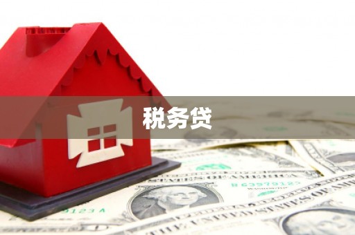 大涌税务贷