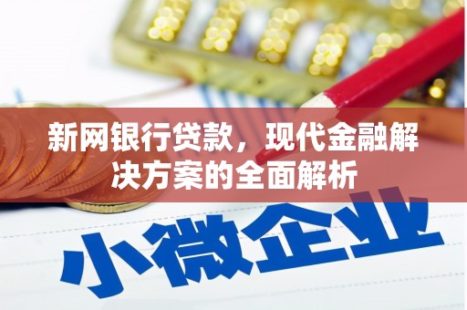 大涌新网银行贷款，现代金融解决方案的全面解析