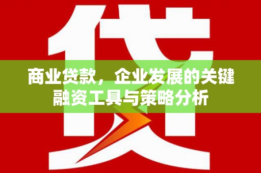 大涌商业贷款，企业发展的关键融资工具与策略分析