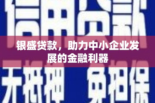 大涌银盛贷款，助力中小企业发展的金融利器