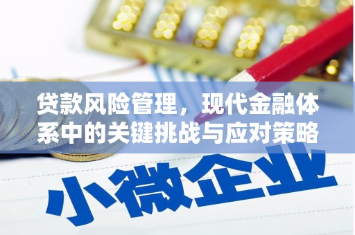 大涌贷款风险管理，现代金融体系中的关键挑战与应对策略