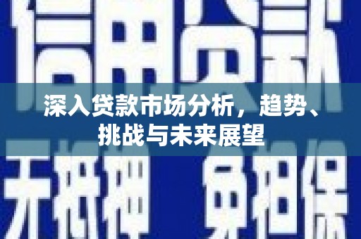 大涌深入贷款市场分析，趋势、挑战与未来展望