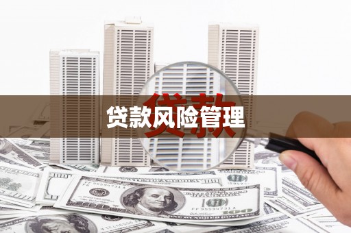 大涌贷款风险管理
