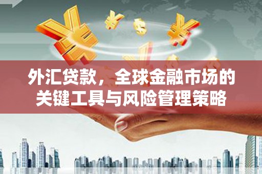 大涌外汇贷款，全球金融市场的关键工具与风险管理策略