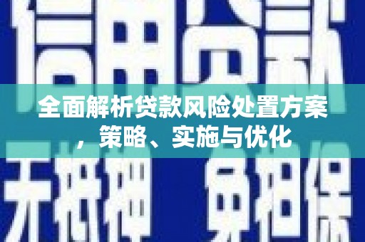 大涌全面解析贷款风险处置方案，策略、实施与优化