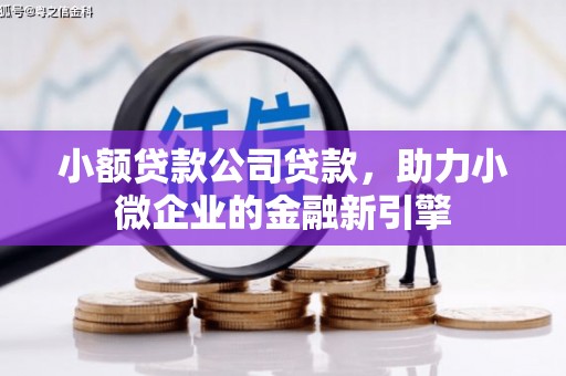 大涌小额贷款公司贷款，助力小微企业的金融新引擎
