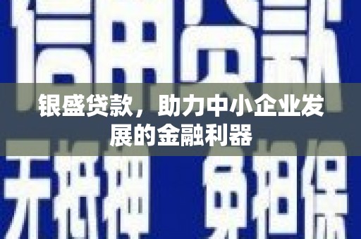 大涌银盛贷款，助力中小企业发展的金融利器