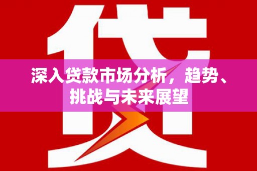 大涌深入贷款市场分析，趋势、挑战与未来展望