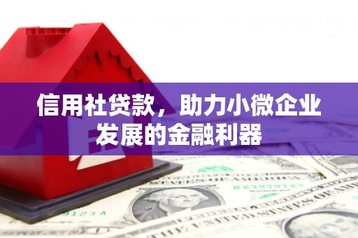 大涌信用社贷款，助力小微企业发展的金融利器