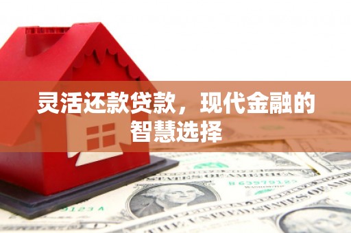 大涌灵活还款贷款，现代金融的智慧选择