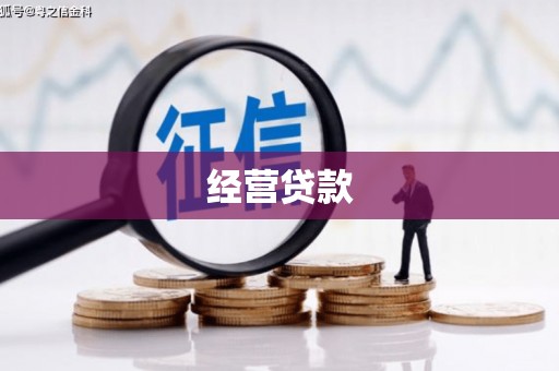 大涌经营贷款