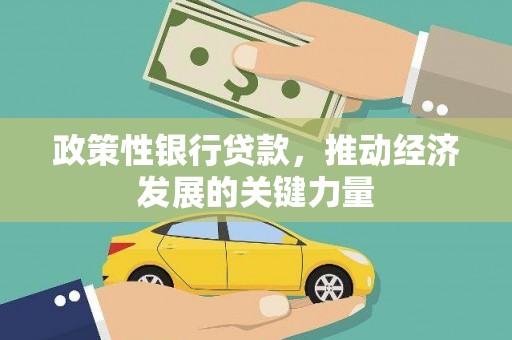 大涌政策性银行贷款，推动经济发展的关键力量
